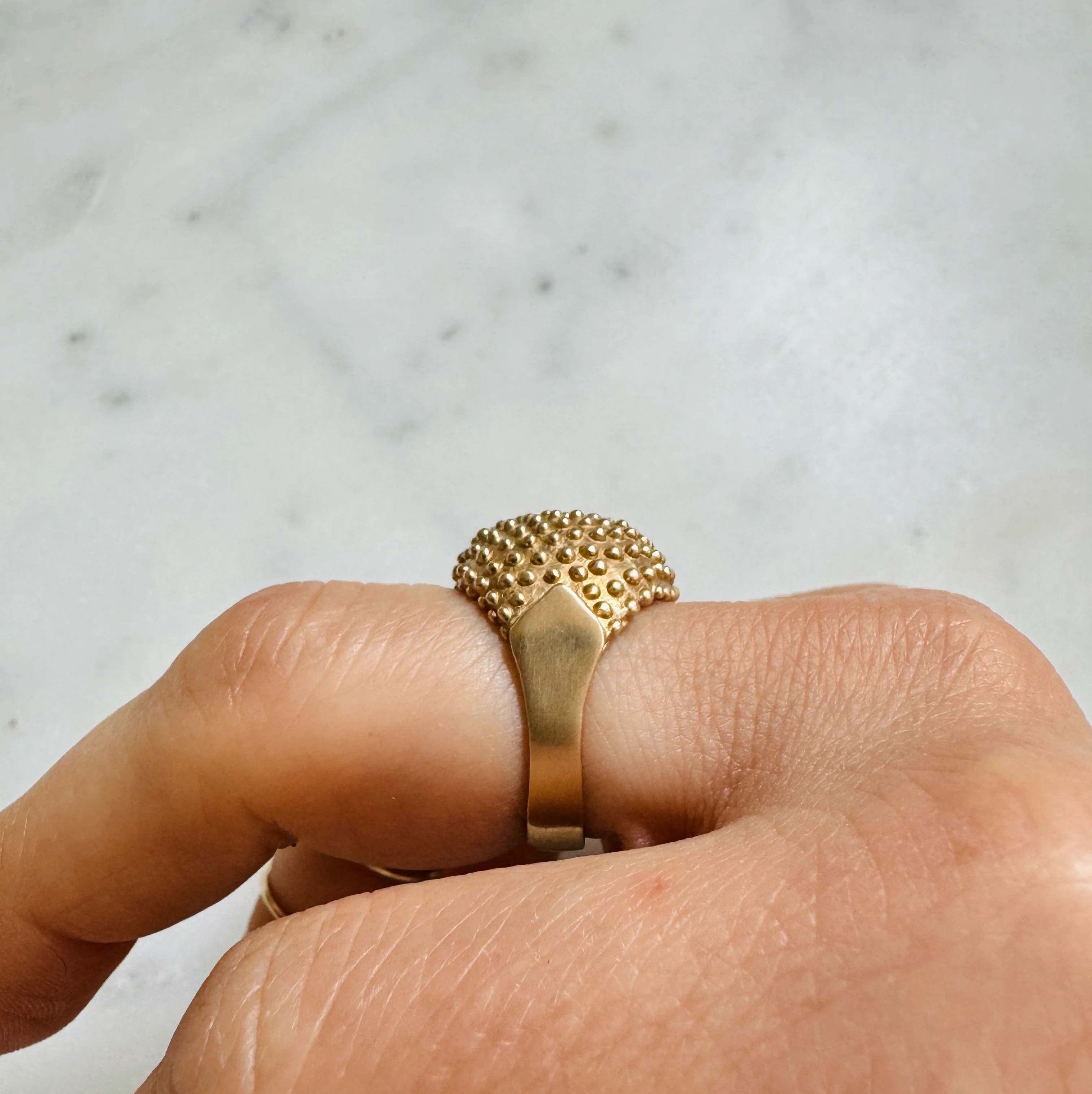 BACKYARD BERRY RING - Image 11