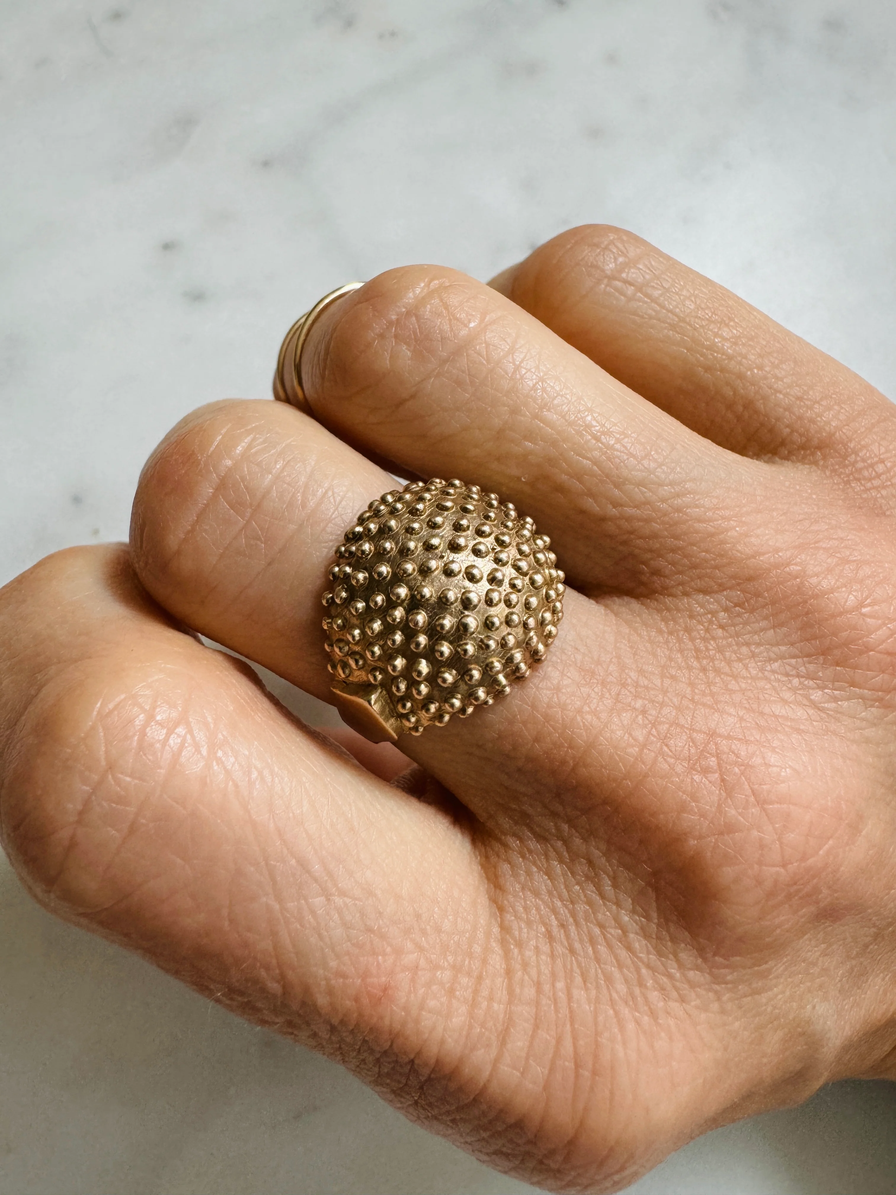 BACKYARD BERRY RING - Image 12