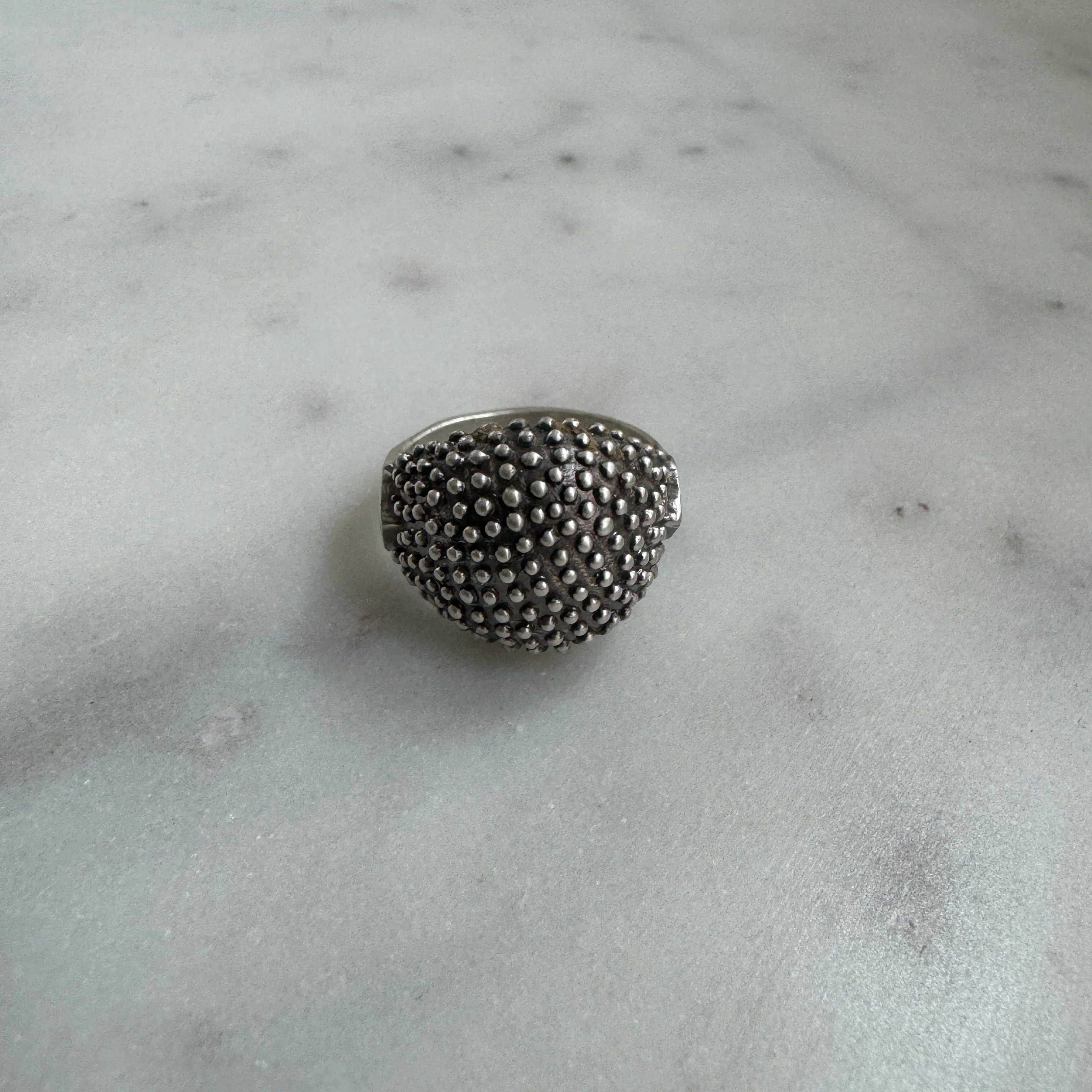 BACKYARD BERRY RING - Image 13