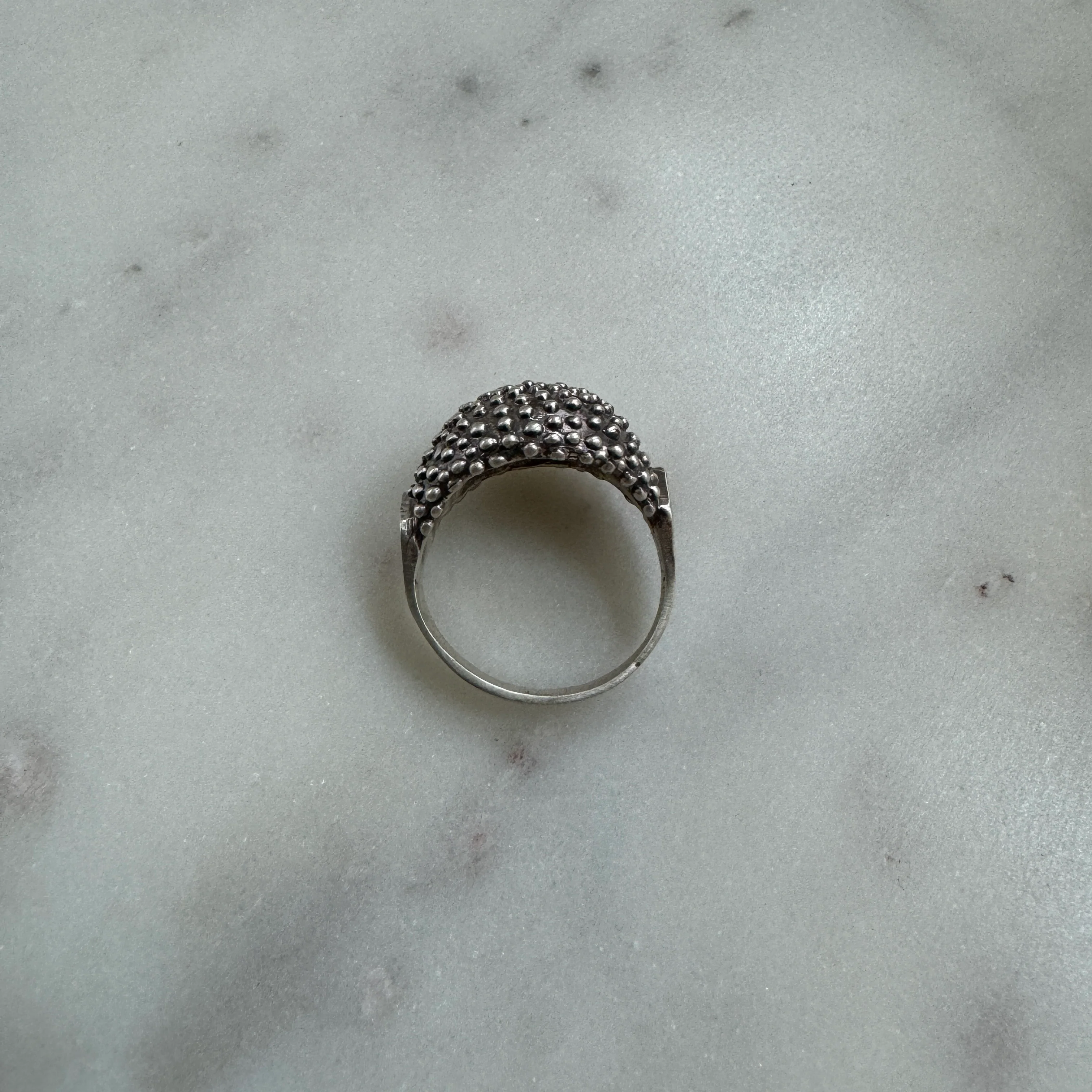 BACKYARD BERRY RING - Image 16