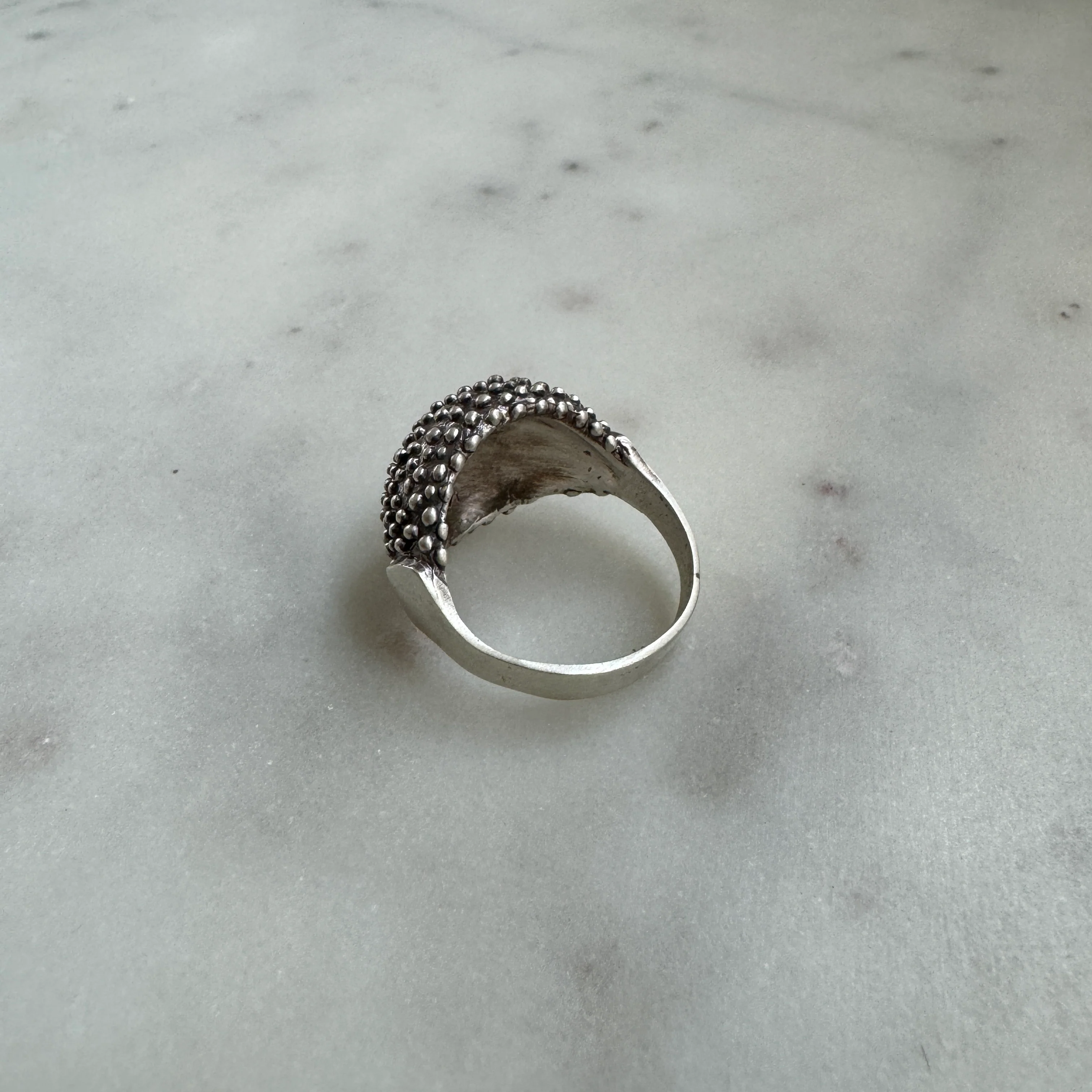 BACKYARD BERRY RING - Image 17