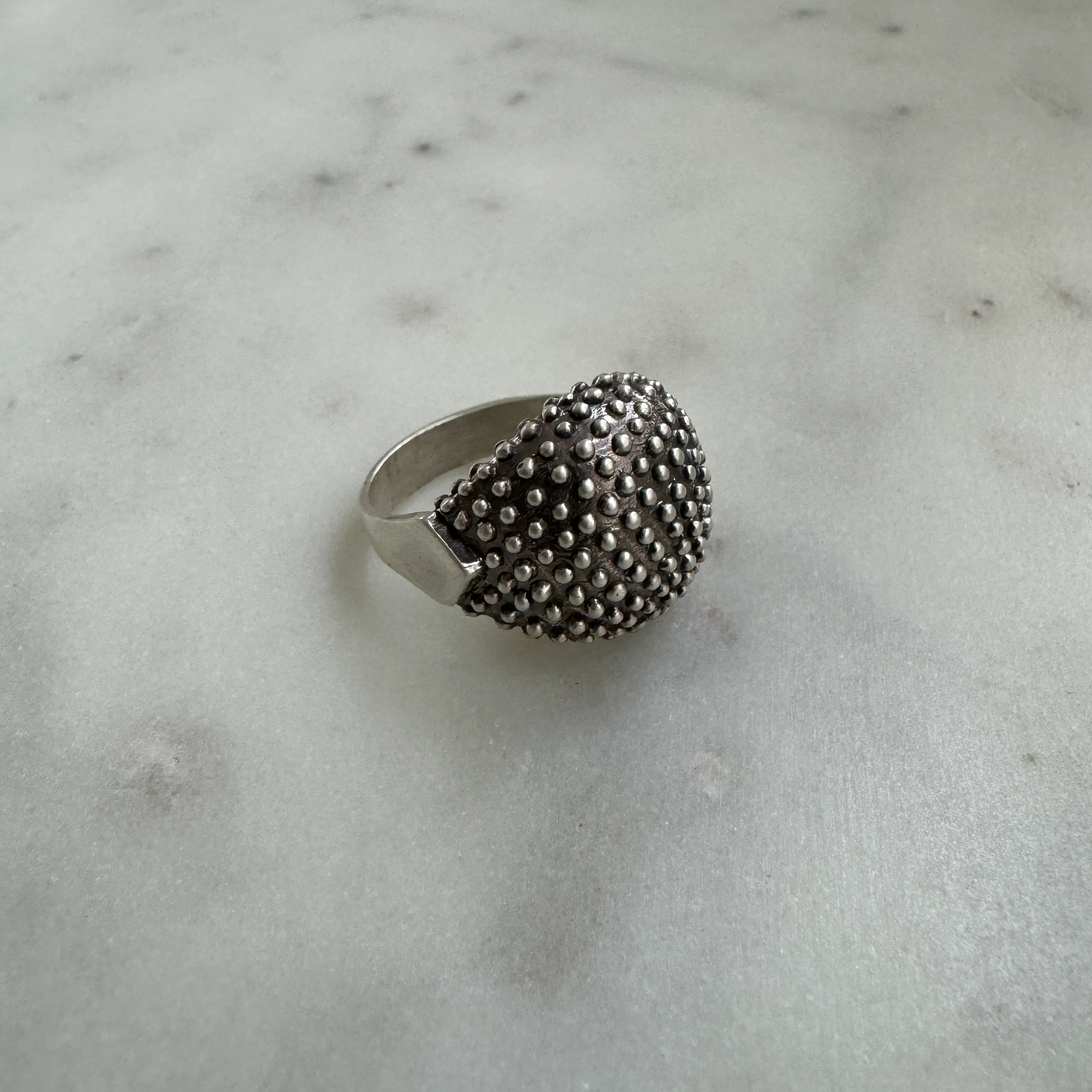 BACKYARD BERRY RING - Image 19