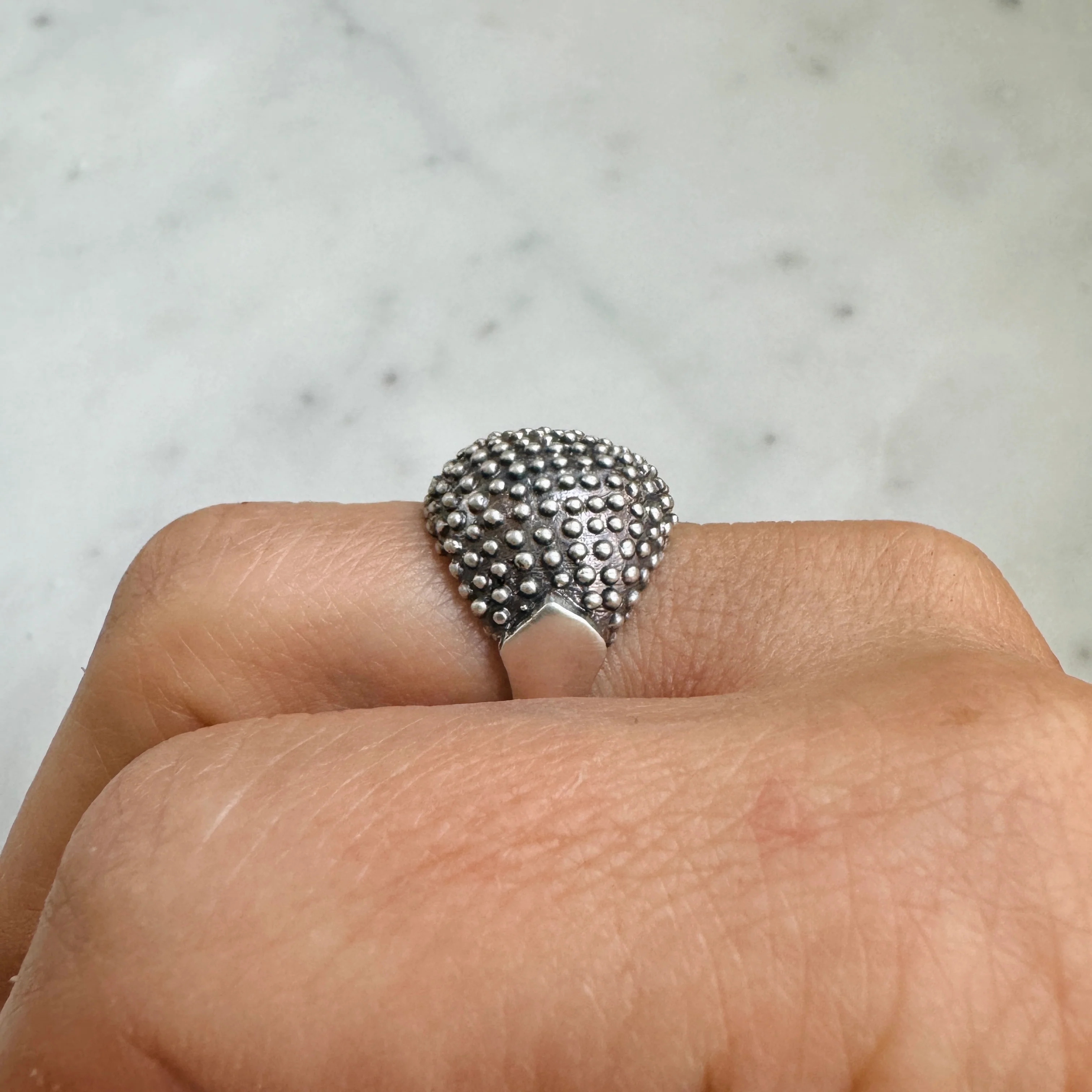 BACKYARD BERRY RING - Image 20