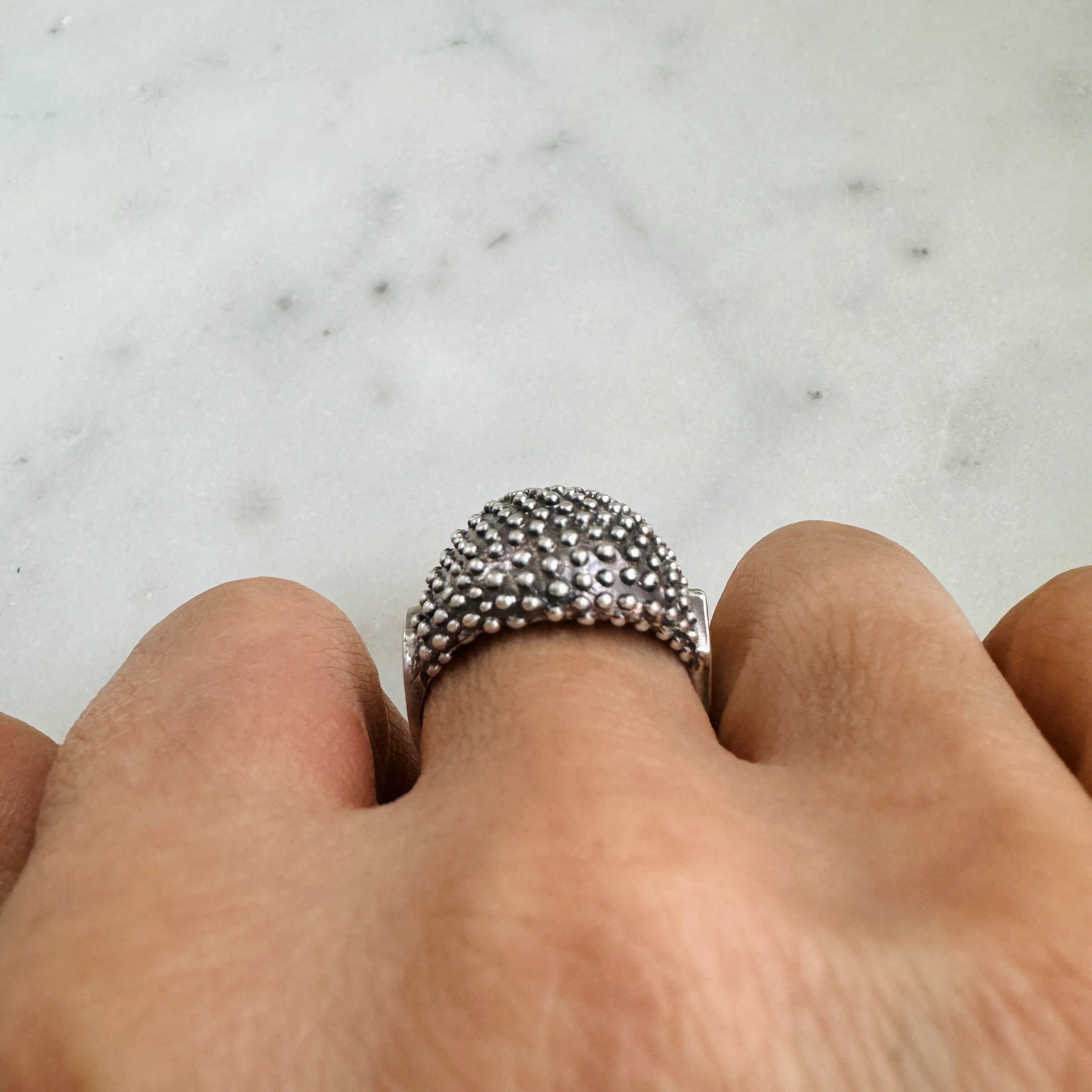 BACKYARD BERRY RING - Image 21