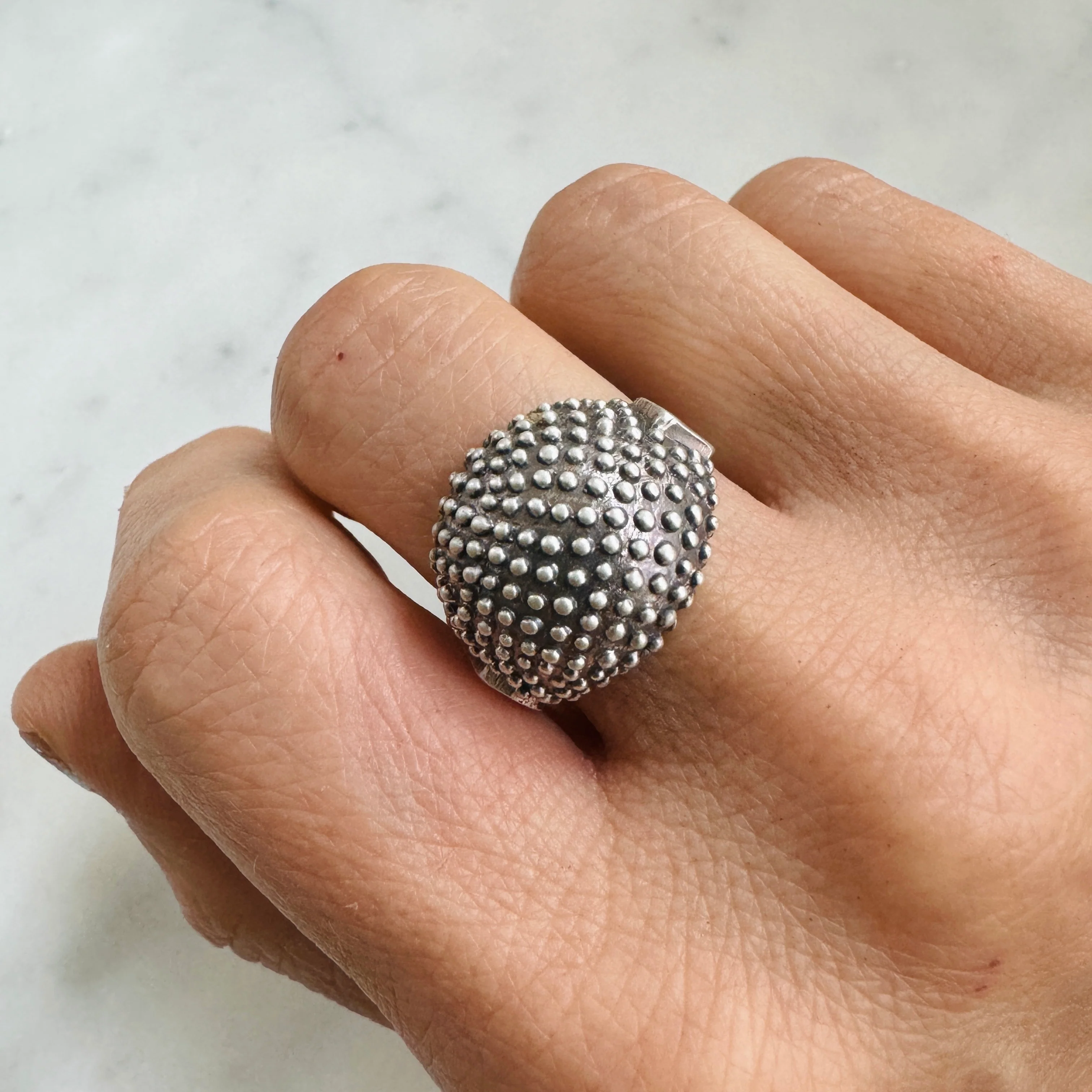 BACKYARD BERRY RING - Image 4