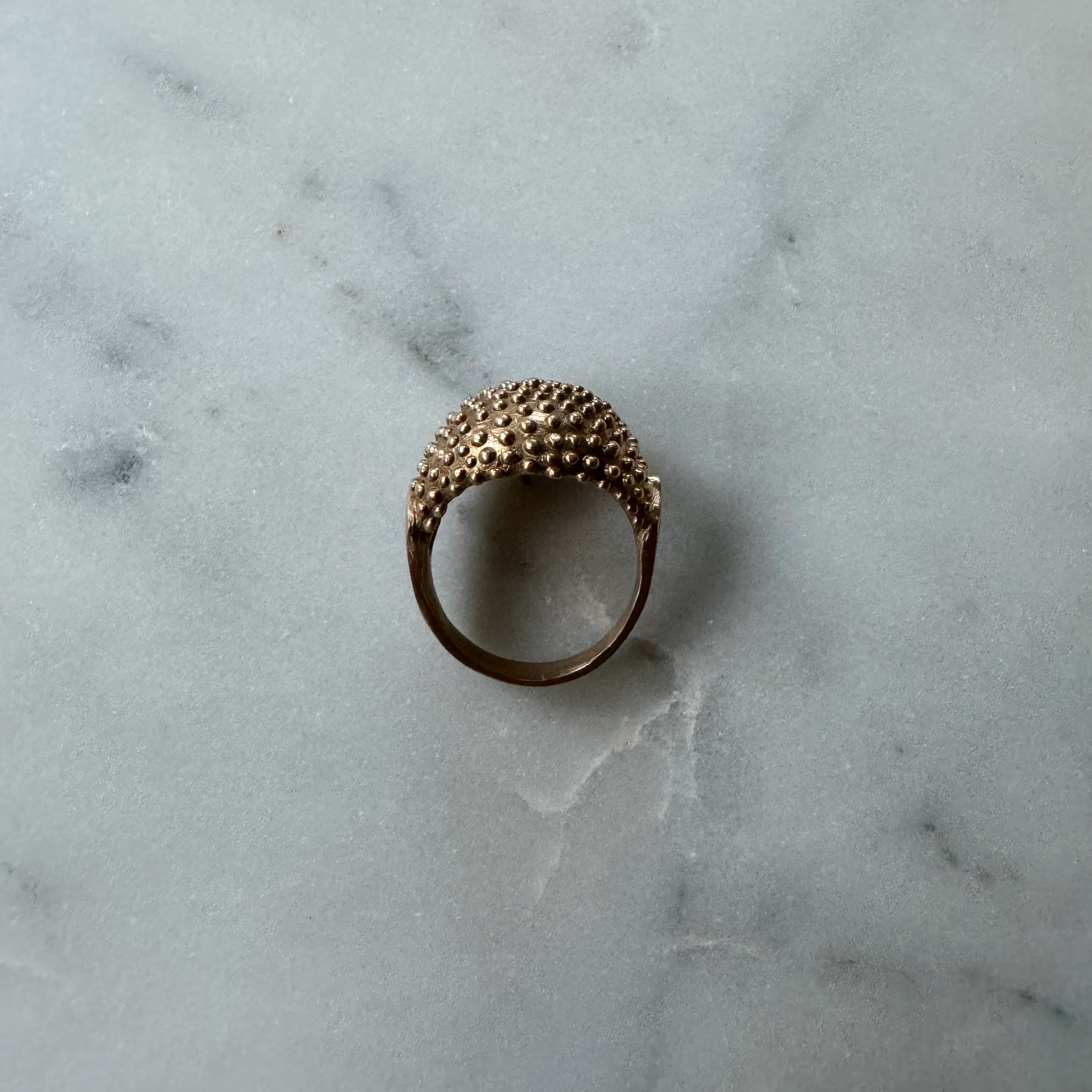 BACKYARD BERRY RING - Image 6