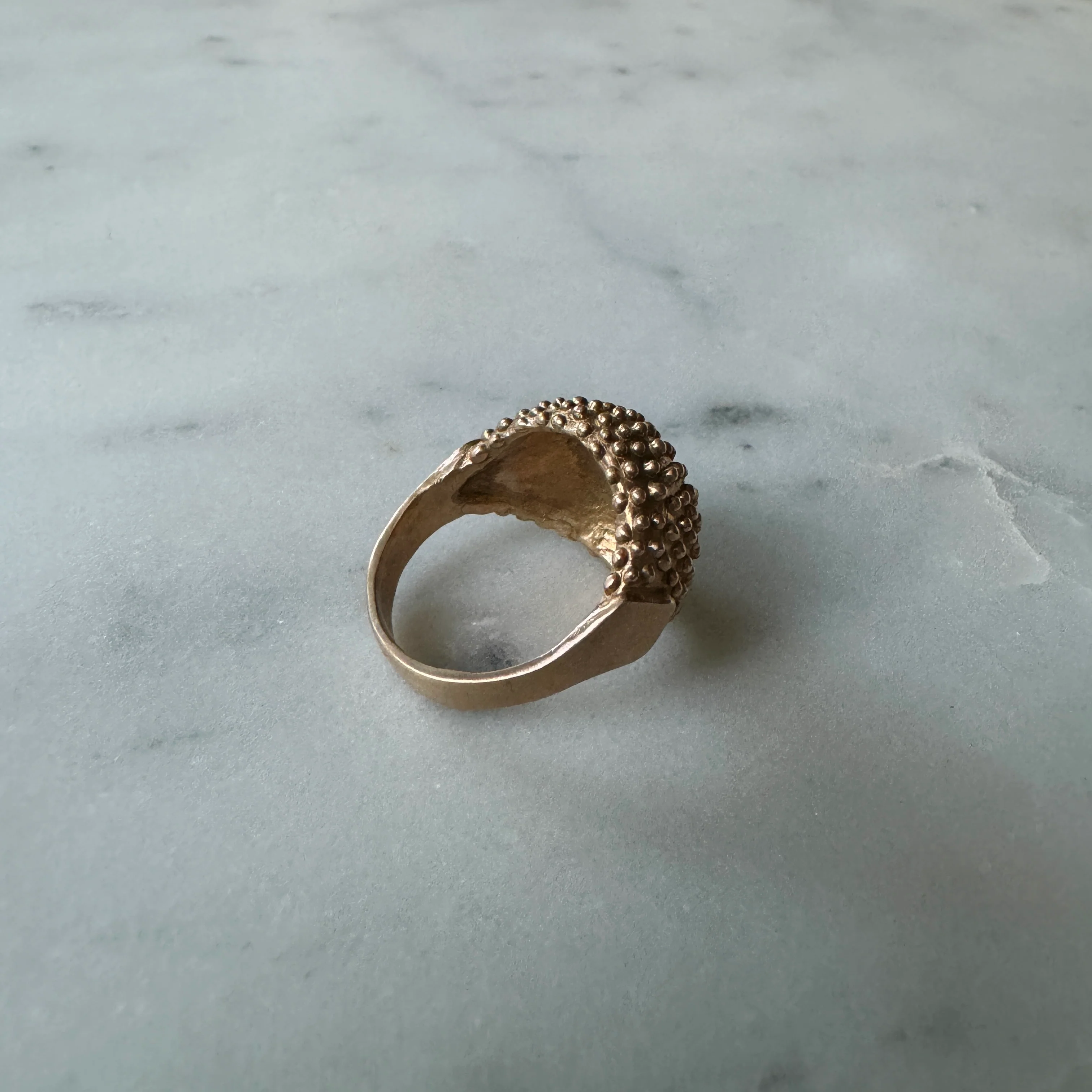 BACKYARD BERRY RING - Image 8