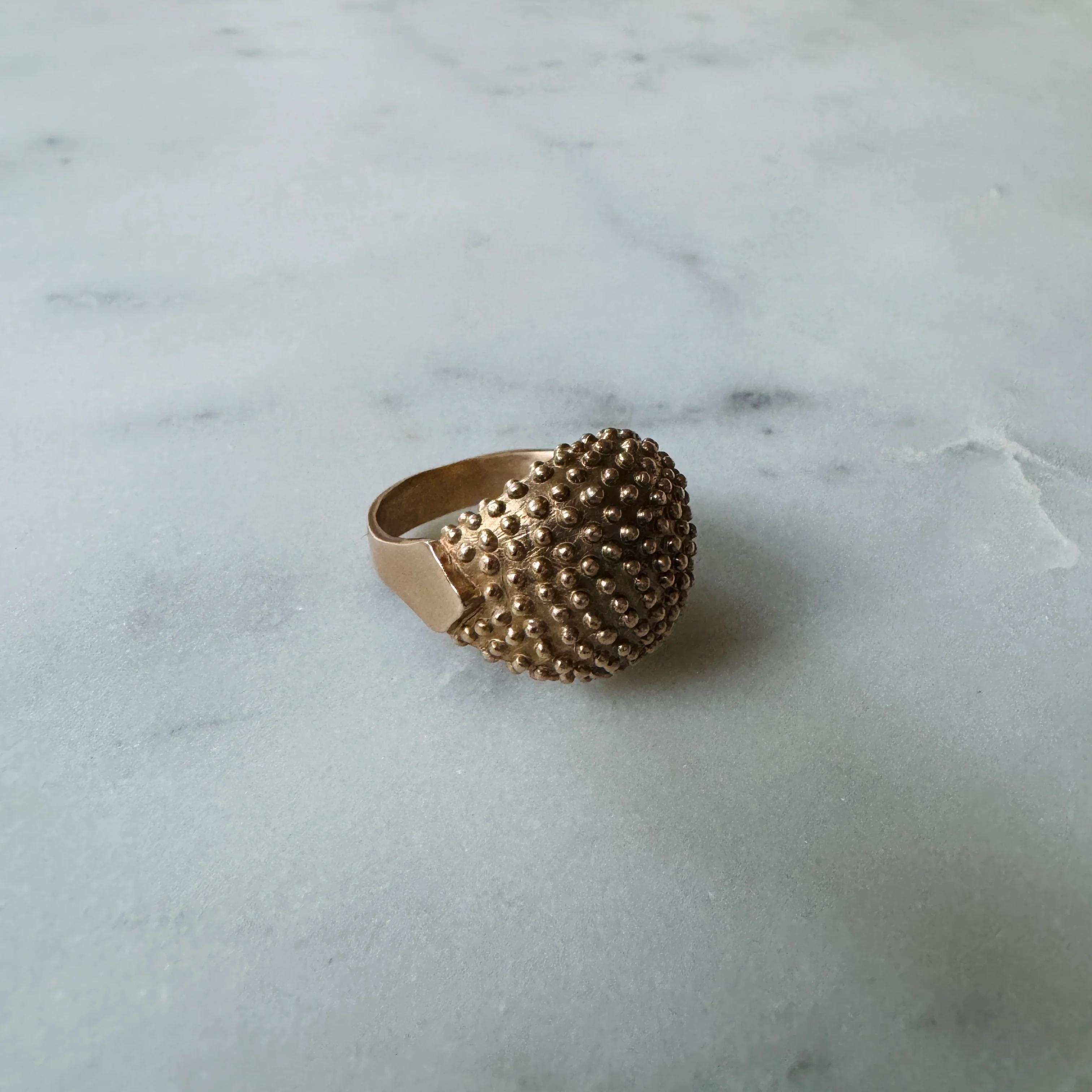 BACKYARD BERRY RING - Image 9