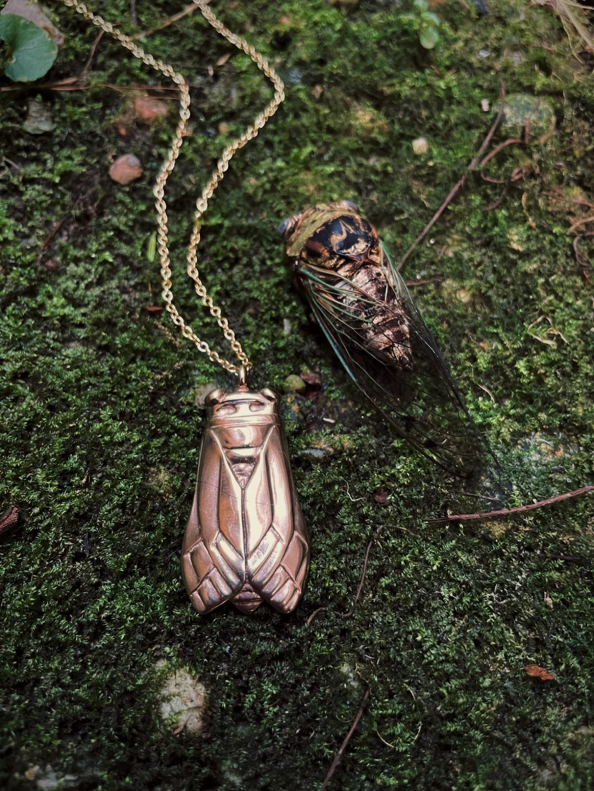 CICADA PENDANT — LARGE - Image 3