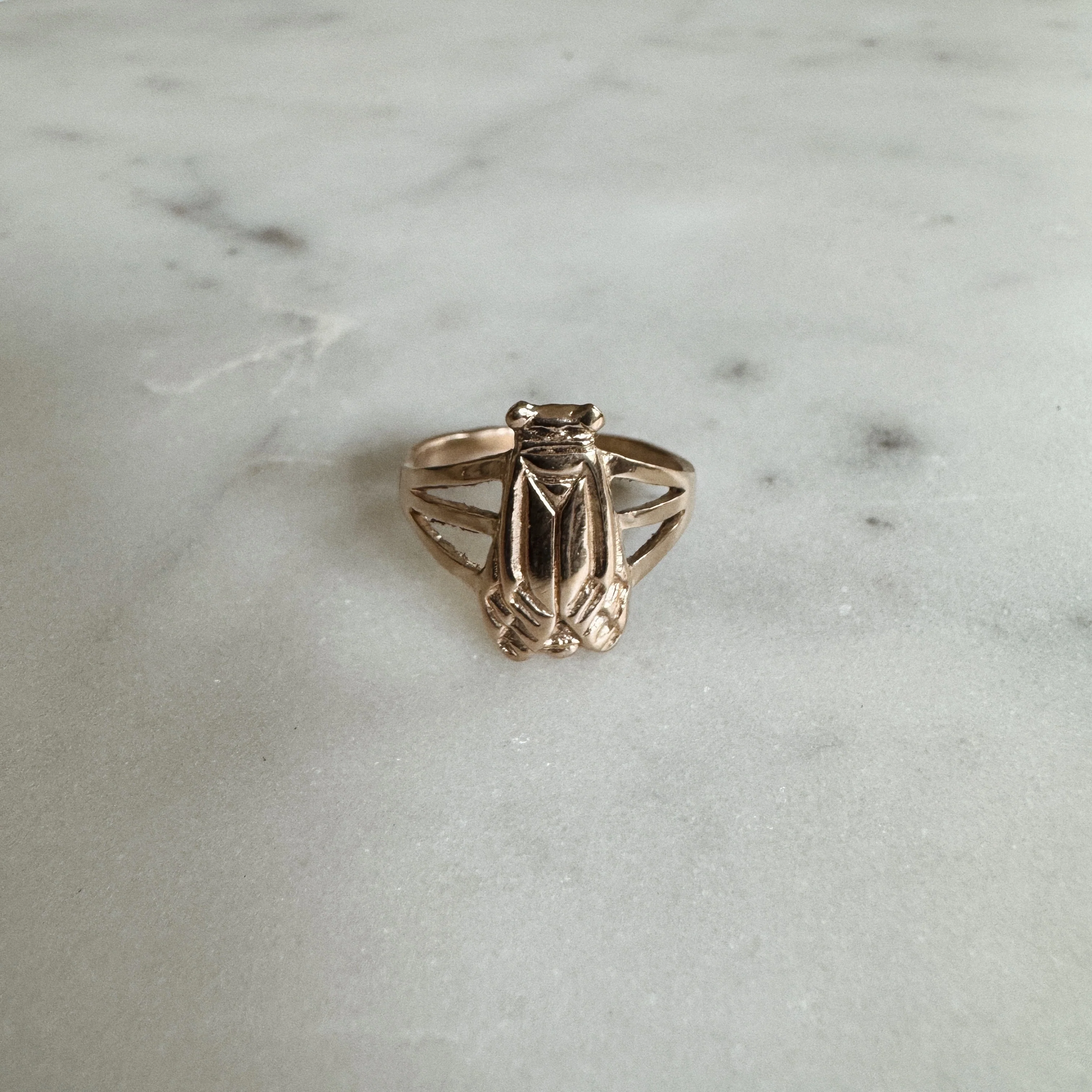 CICADA RING