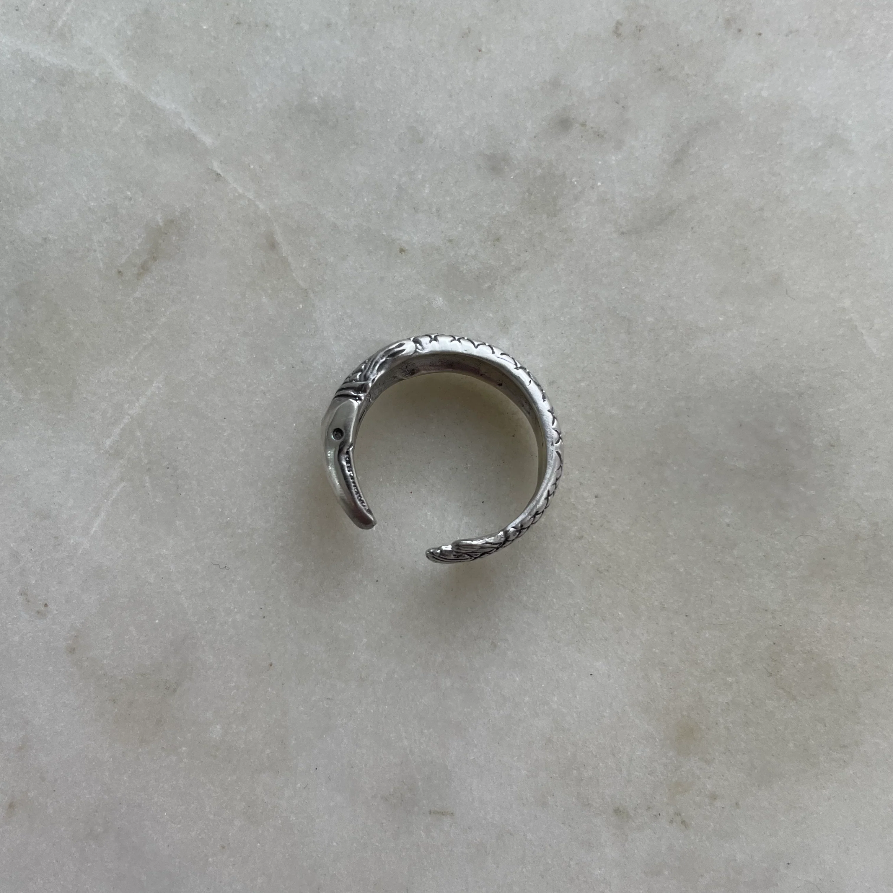 GARFISH RING - Image 15