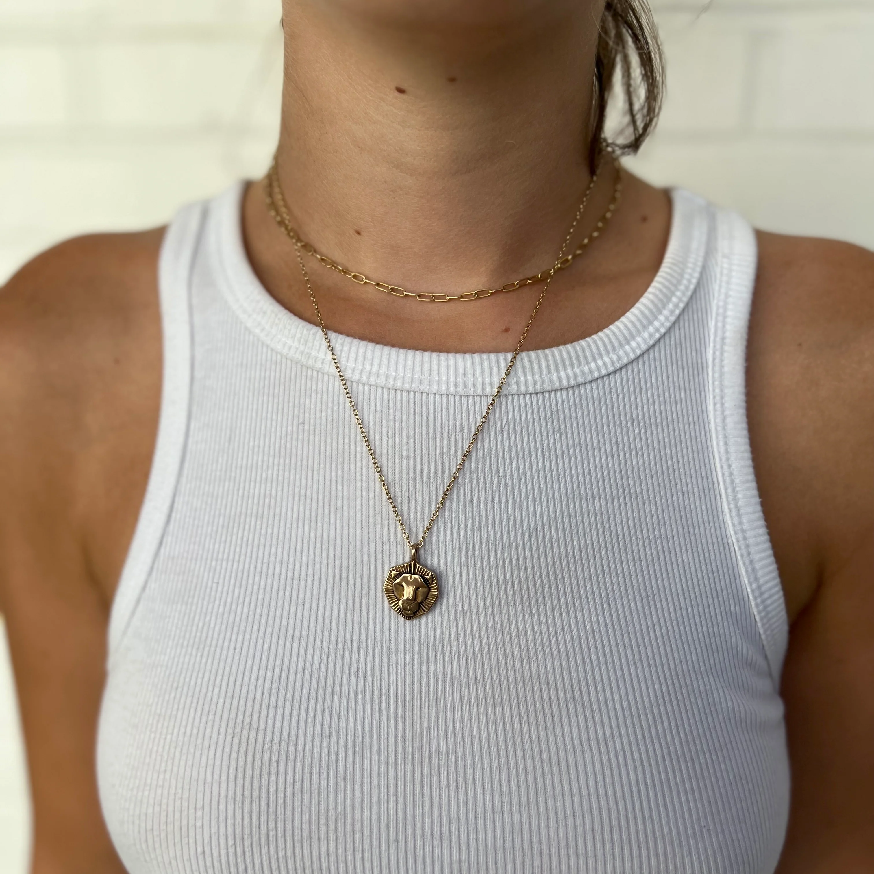 LION PENDANT — SMALL - Image 8