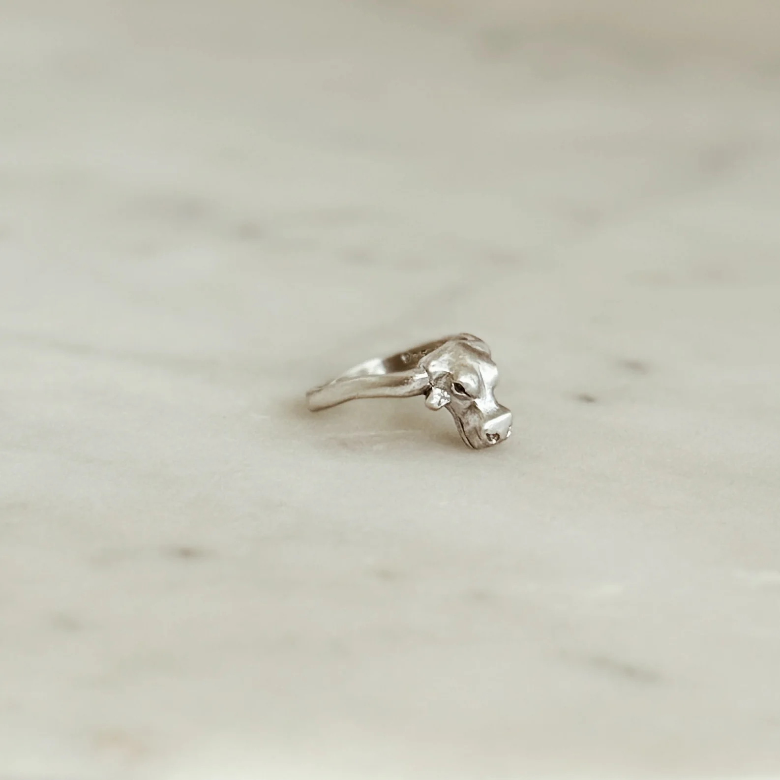 LONGHORN RING - Image 13