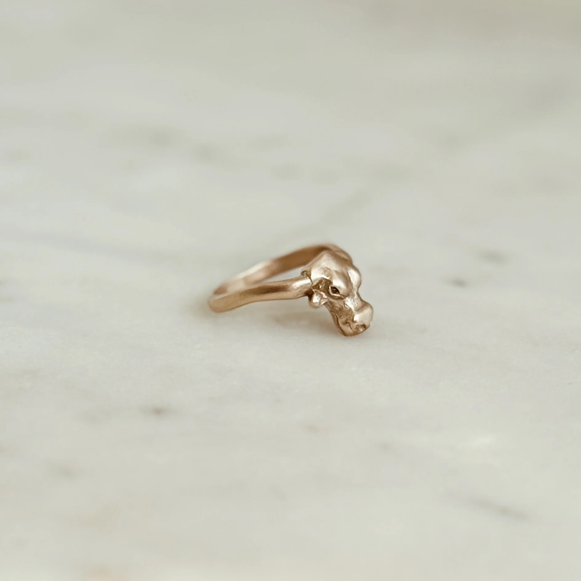 LONGHORN RING - Image 4