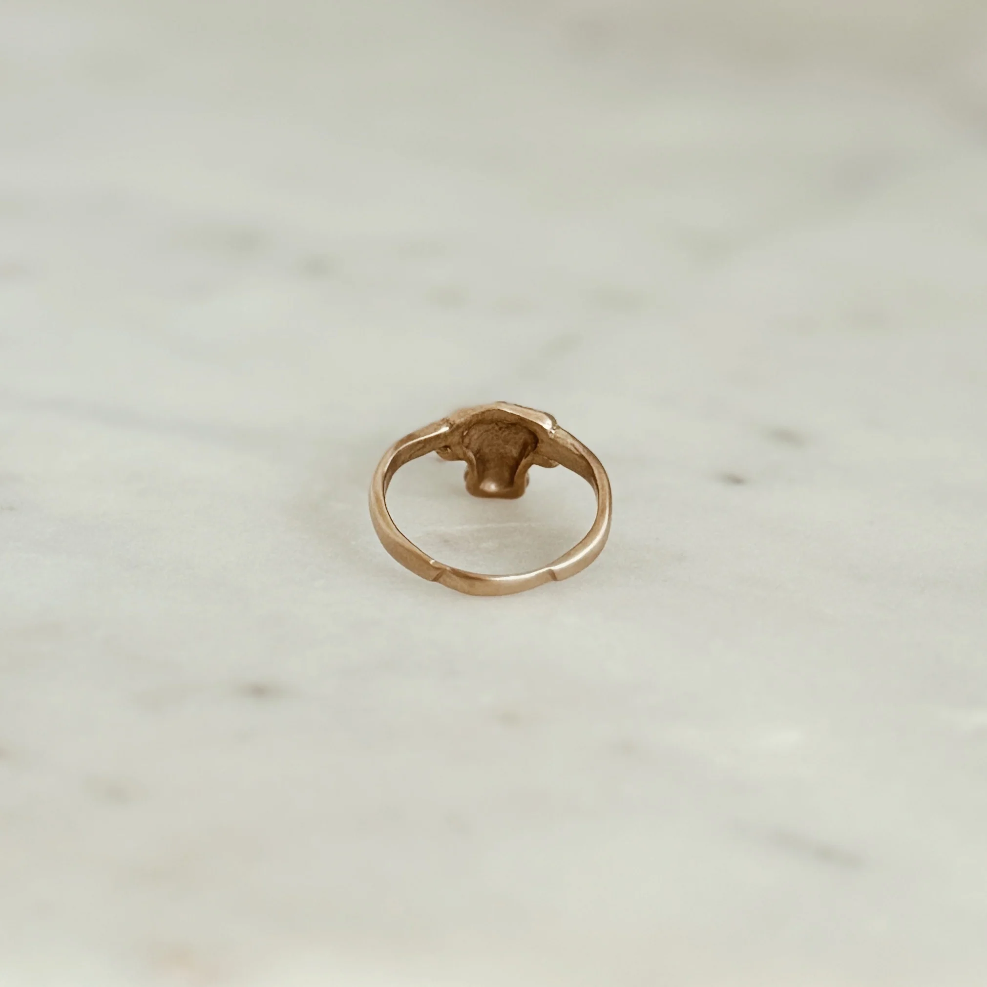 LONGHORN RING - Image 6