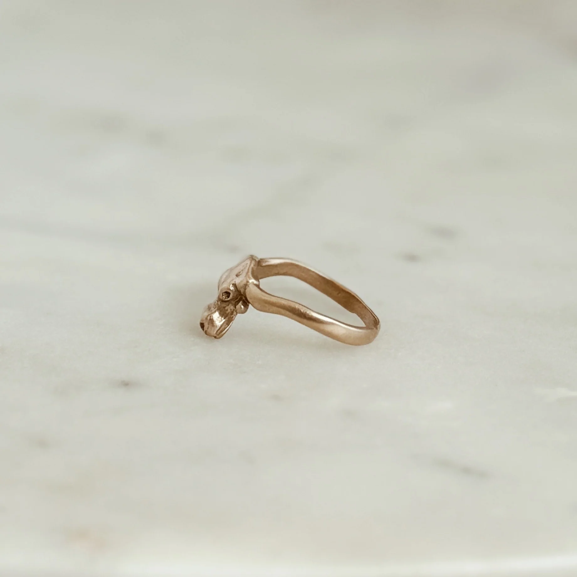 LONGHORN RING - Image 7
