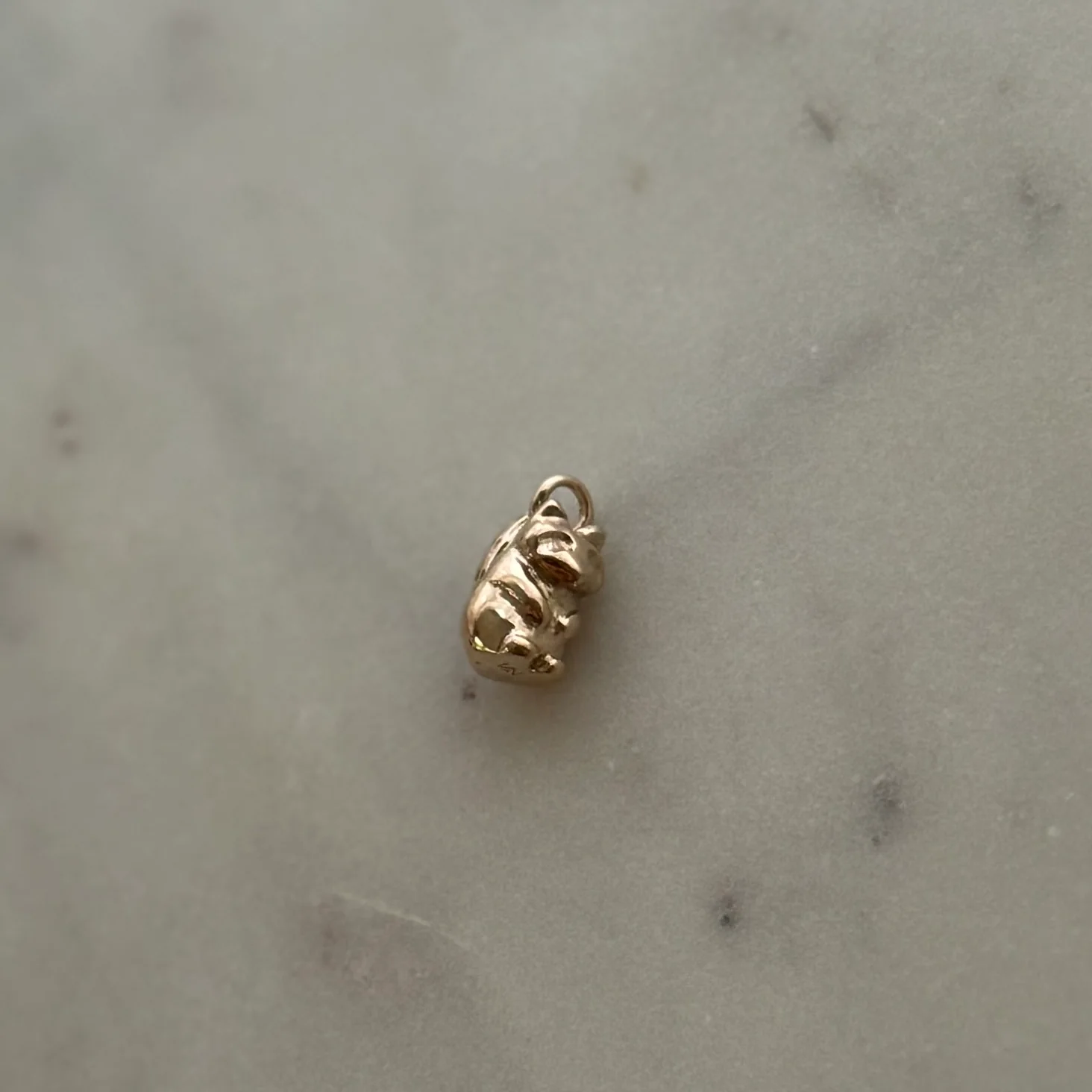 RACCOON PENDANT - Image 6