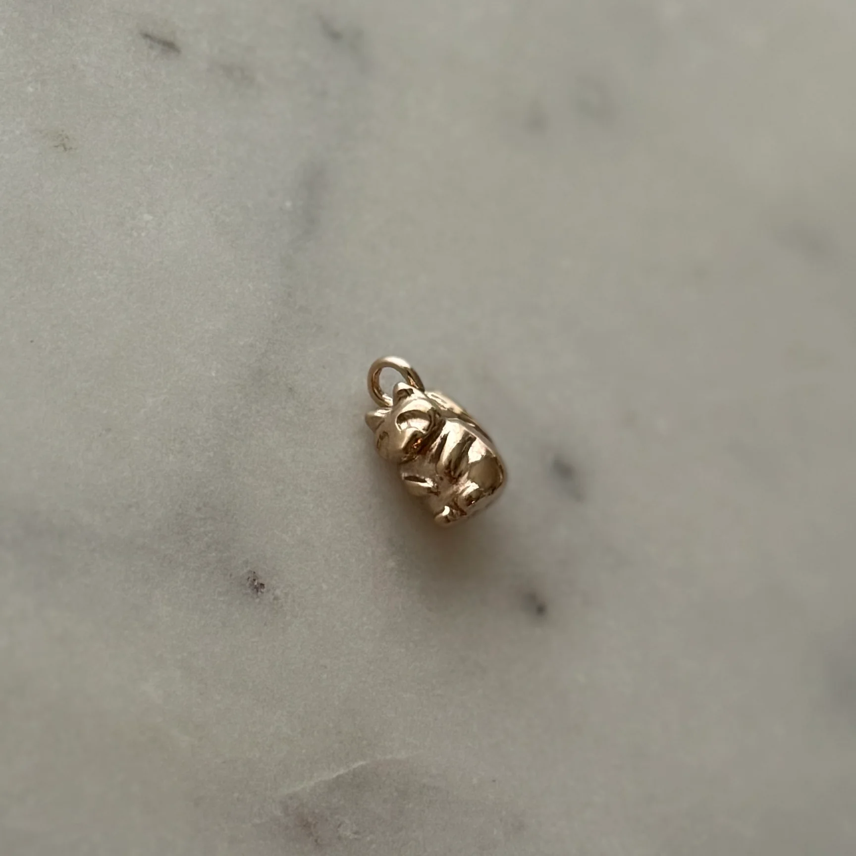 RACCOON PENDANT - Image 7