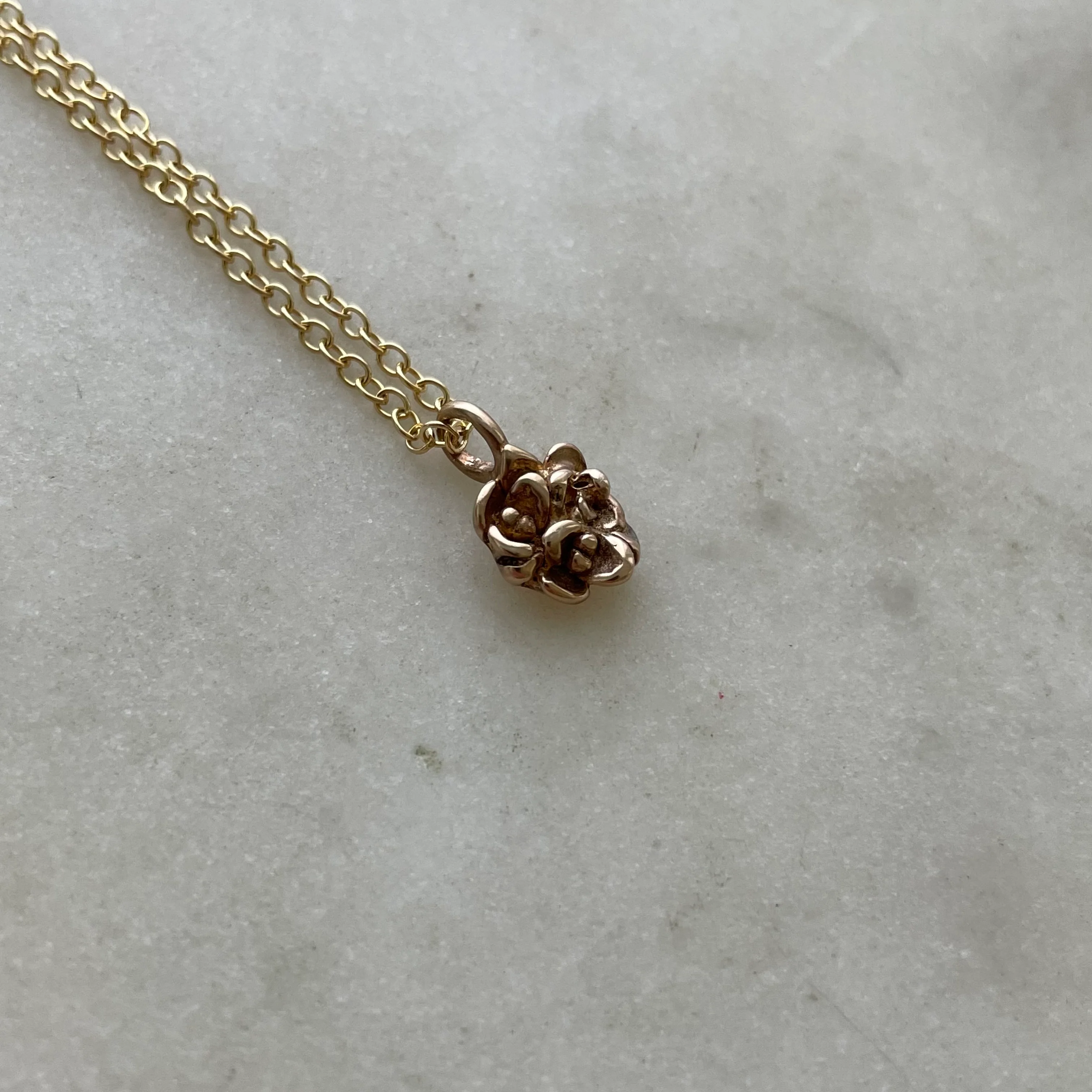 ARCHIVE — SUCCULENT PENDANT - Image 4