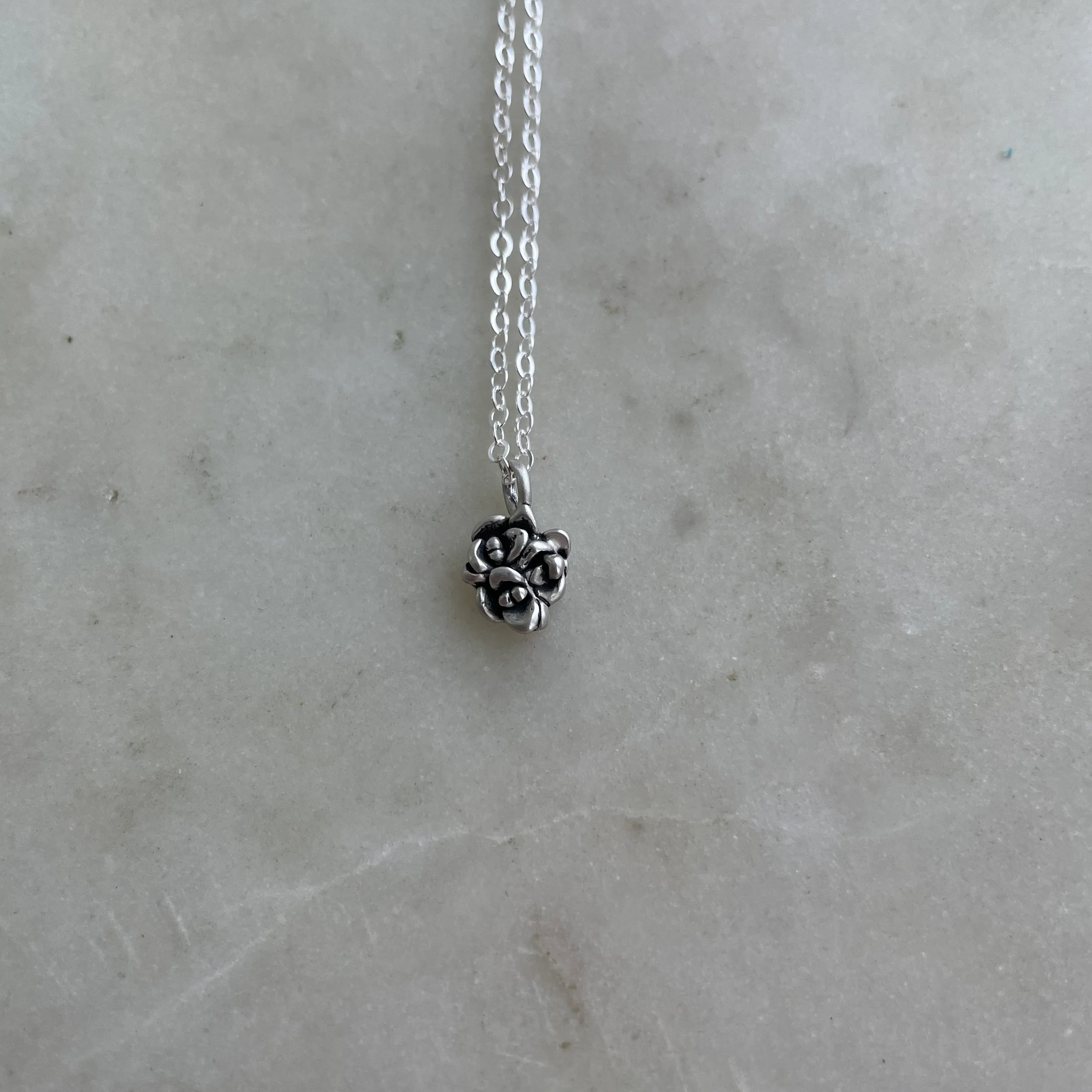 ARCHIVE — SUCCULENT PENDANT - Image 7