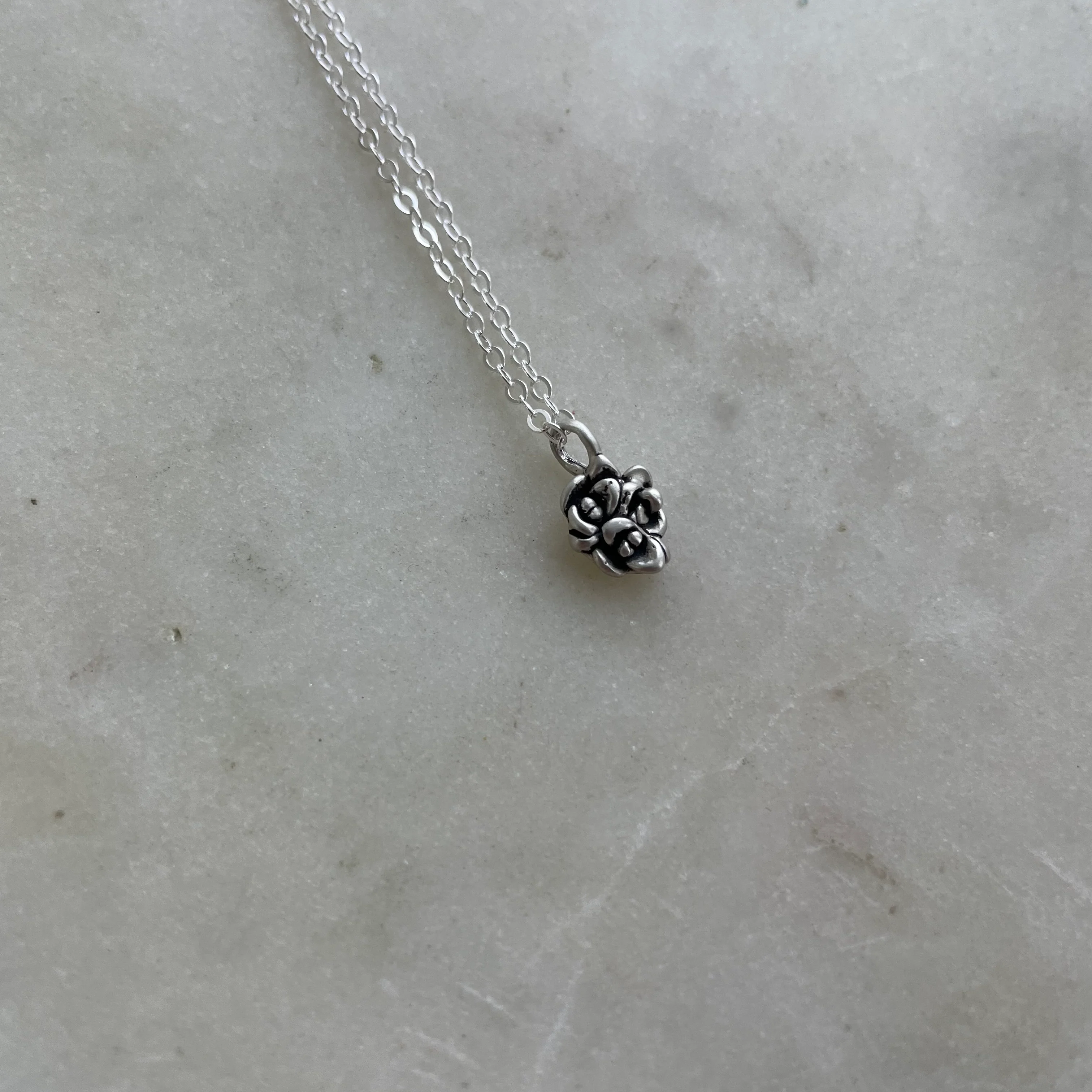 ARCHIVE — SUCCULENT PENDANT - Image 8