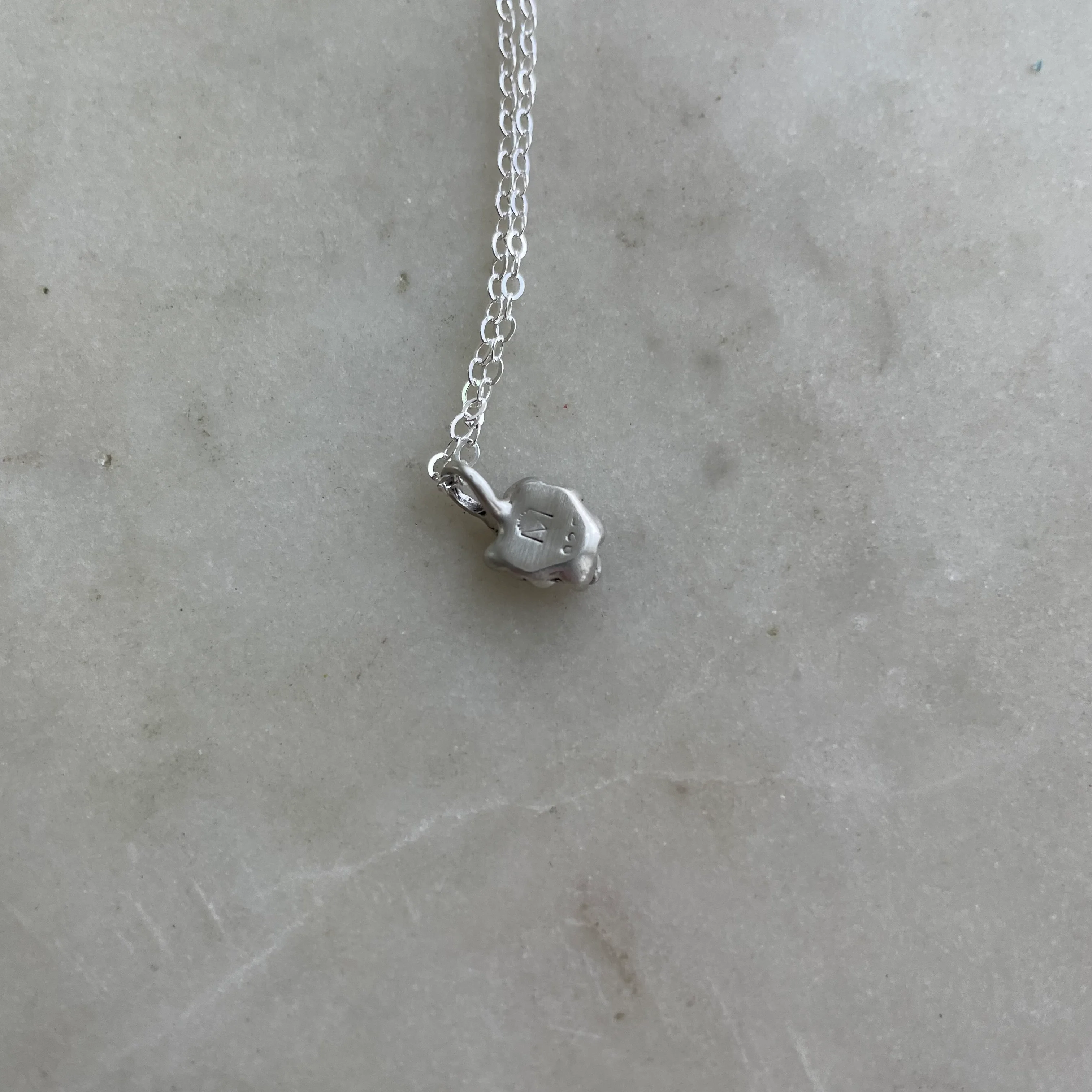 ARCHIVE — SUCCULENT PENDANT - Image 9